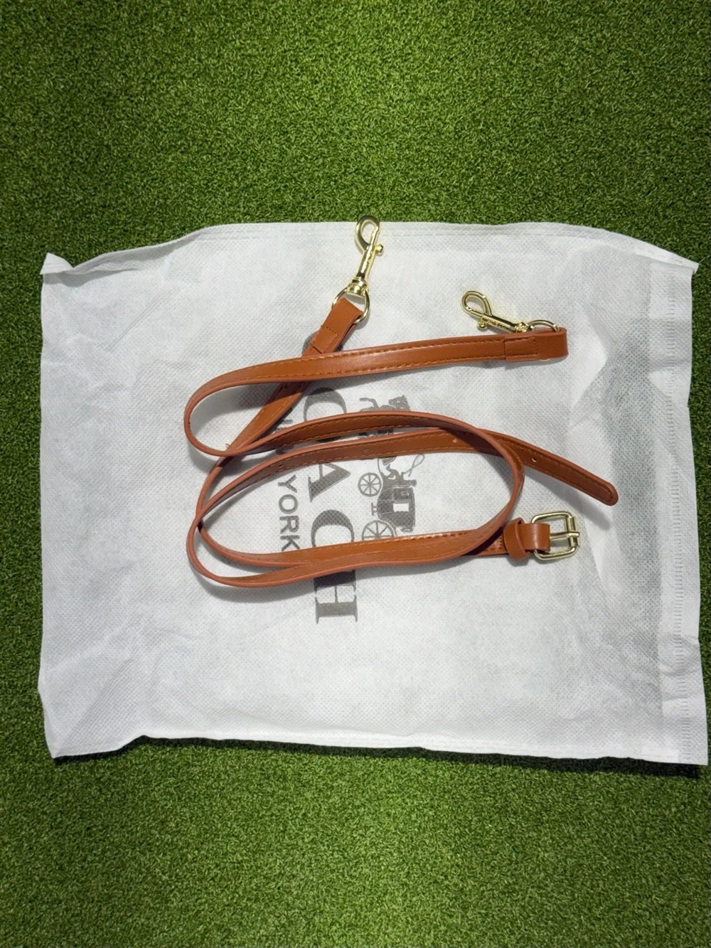 Coach day shipping